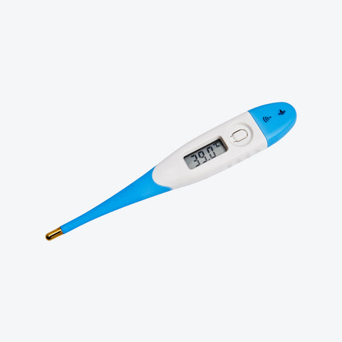 Waterproof thermometer